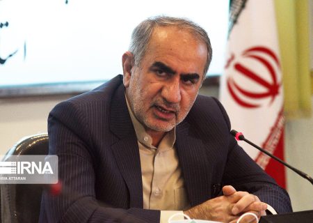 استیضاح فاطمی امین زودهنگام و غیر قابل دفاع است
