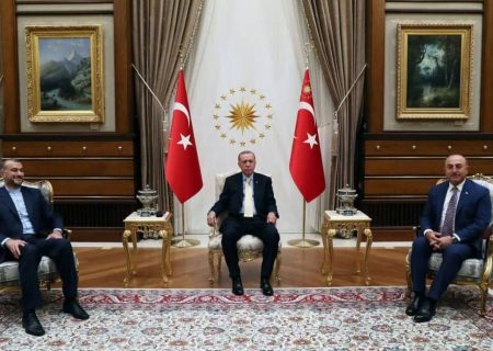 امیرعبداللهیان با اردوغان دیدار کرد