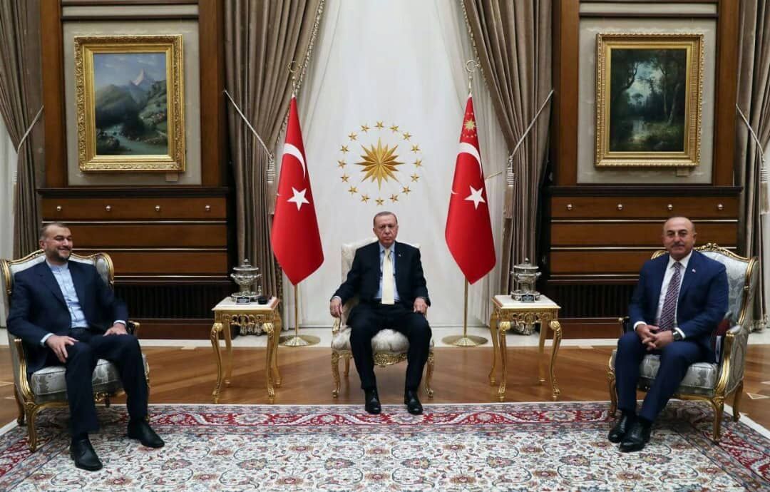 امیرعبداللهیان با اردوغان دیدار کرد