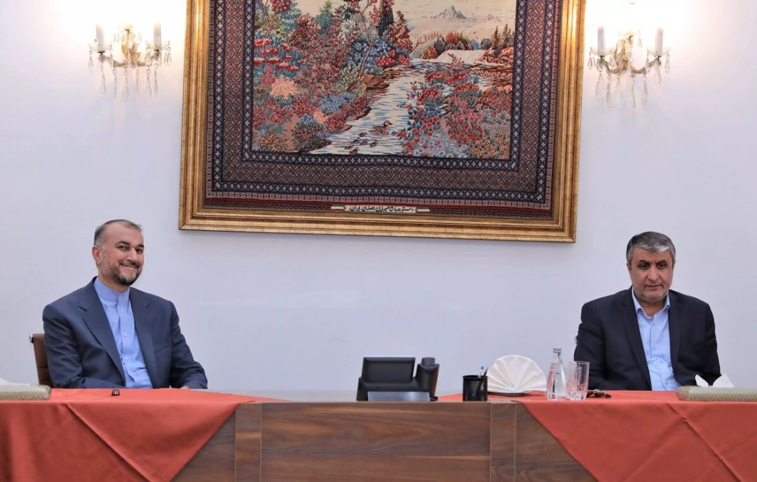 نشست مشترک وزیر امور خارجه و رییس سازمان انرژی اتمی