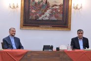 نشست مشترک وزیر امور خارجه و رییس سازمان انرژی اتمی