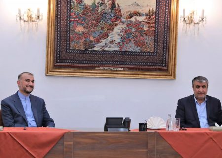 نشست مشترک وزیر امور خارجه و رییس سازمان انرژی اتمی