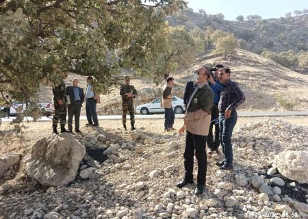 ۱۸۵هزار«همیار طبیعت» در کشور فعالیت دارند