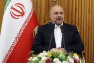 توسعه روابط پارلمانی و اقتصادی هدف از سفر به ازبکستان است