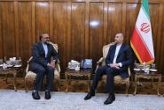 دیدار رییس جدید دفتر حفاظت منافع ایران در مصر با امیرعبداللهیان
