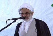 پایداری انقلاب به دلیل پیوستگی امت و ولایت است
