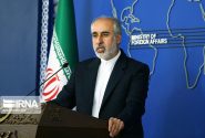 کنعانی: بالندگی صنعت صلح‌آمیز هسته‌ای مرهون مجاهدت رضایی‌نژادهاست