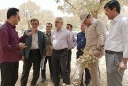 ۱۶۸میلیارد ریال اعتبار برای مبارزه با پروانه برگ‌خوار سفید در کهگیلویه و بویراحمد اختصاص یافت