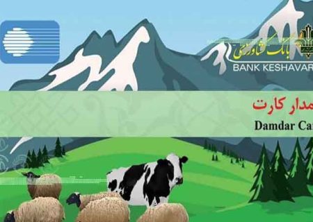 ۳۸ میلیاردریال تسهیلات بانکی به بهره برداران گچساران پرداخت شد