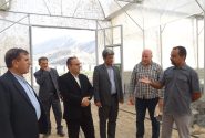 ۴۰میلیارد ریال برای ساخت شهرک گلخانه ای باشت هزینه شد