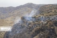 آتش سوزی در منطقه حفاظت شده کوه خامی باشت در حال گسترش است