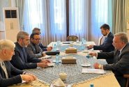 اولیانوف با علی باقری دیدار کرد