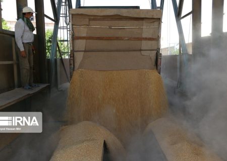 ۲۸۱ نماینده مجلس از اقدامات رئیس جمهور در در موضوع خرید تضمینی گندم قدردانی کردند