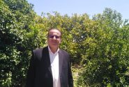 ۴۰ هزار تن لیمو ترش سالانه در کهگیلویه و بویراحمد تولید می‌شود