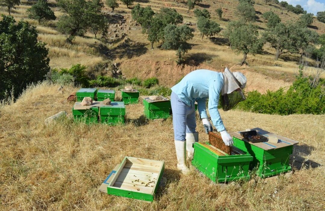 بنیاد برکت ۶۰۰طرح اشتغالزایی در گچساران اجرا کرد