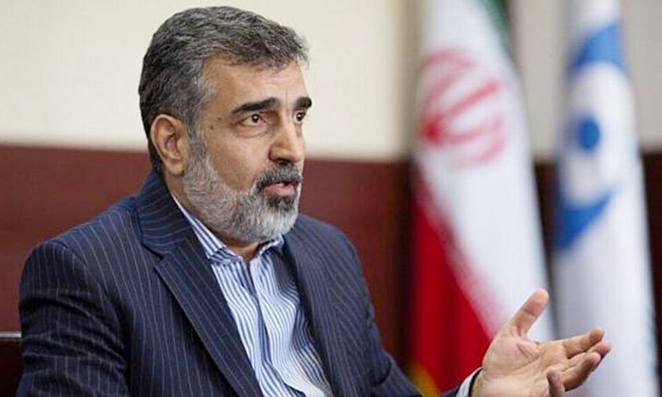 کمالوندی: خلاء نظارتی مورد ادعای آژانس مبنای حقوقی ندارد/ایران پاسخ سوالات آژانس را داده است
