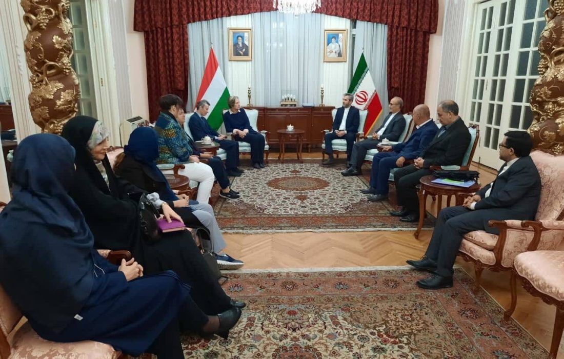بن‌مایه‌های فرهنگ و تمدن ایران اسلامی گنجینه بشری و زبان مشترک ملت‌ها است