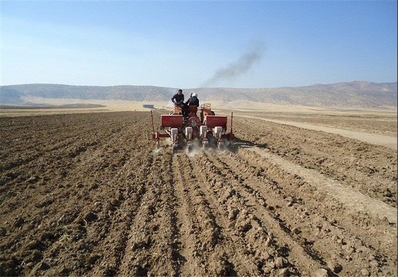 طرح جهش تولید در ۵۴ درصد از دیم‌زارهای کهگیلویه وبویراحمد اجرا می شود
