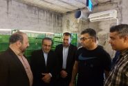 ماهانه یکهزار و ۵۰۰ کیلوگرم کرم میل ورم در باشت تولید می شود