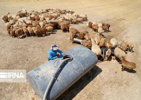 عطش کم آبی در مناطق عشایری کهگیلویه وبویراحمد