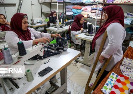 بهزیستی کهگیلویه ۱۵۰ میلیارد ریال تسهیلات اشتغال پرداخت کرد