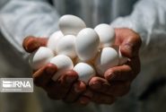 قیمت هر کیلو تخم‌مرغ درب مرغداری‌ ۶۱هزار تومان شد
