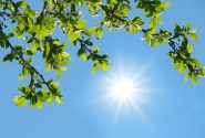 هوای پایدار و آسمانی صاف در اغلب مناطق کشور