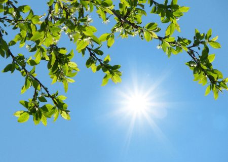 هوای پایدار و آسمانی صاف در اغلب مناطق کشور