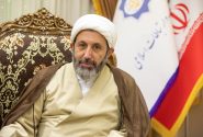 رئیس سازمان فرهنگ و ارتباطات اسلامی وارد روسیه شد