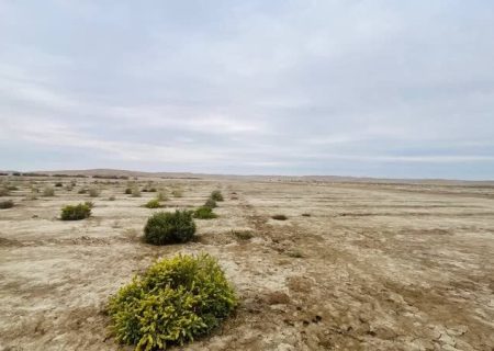 فقر مراتع چالشی جدی فرا روی مناطق عشایری