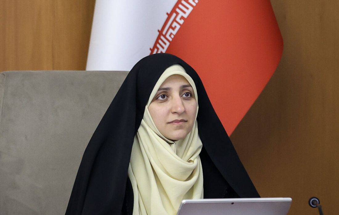 بهروز آذر: سرمایه اجتماعی و عاطفی، عنصر کلیدی موفقیت مشاغل خانگی است