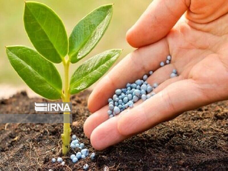 توزیع بیش از ۱۵۰۰ تن کود یارانه ای در کهگیلویه و بویراحمد