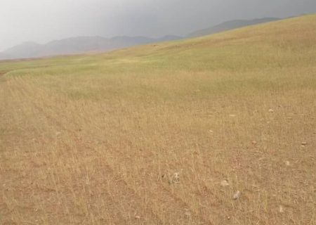 کاهش بارندگی و آسیب جدی به مزارع کهگیلویه و بویراحمد