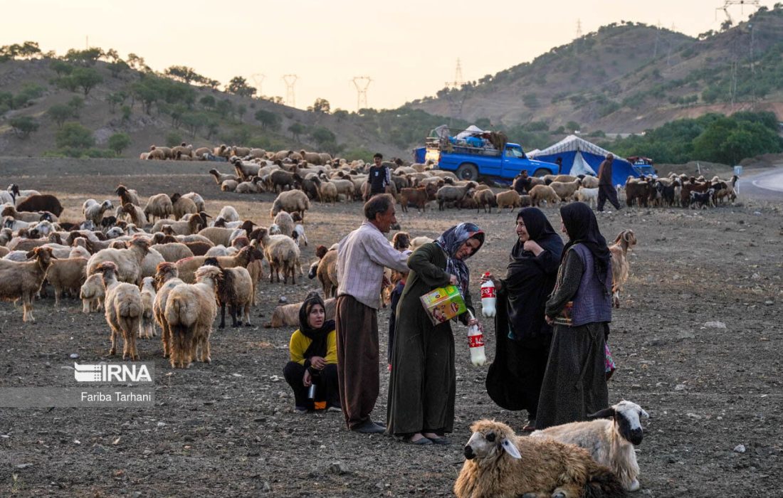 طبیعت بکر لنده میزبان عشایر جنوب کشور
