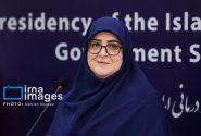 تاکید مهاجرانی بر لزوم تمرکز بر انرژی‌های تجدیدپذیر برای جلوگیری از قطعی برق