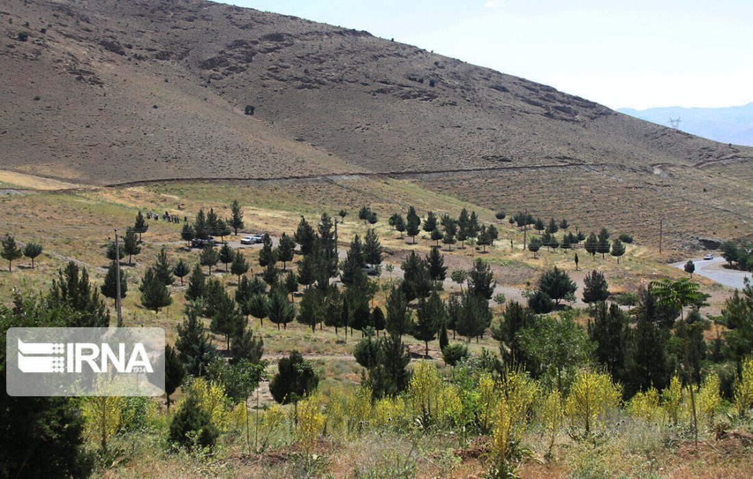 یکهزار و ۵۰۰ هکتار بیابان زدایی در گچساران انجام شد