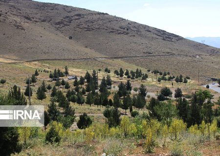یکهزار و ۵۰۰ هکتار بیابان زدایی در گچساران انجام شد