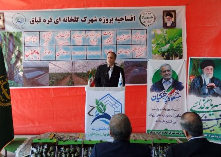 وزیر جهاد کشاورزی: ۴۰۰ میلیون دلار محصولات گلخانه‌ای صادر شد