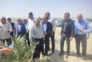 بازدید نمایندگان مجلس از بزرگترین نخلستان مجول جهان در «دشت پُلپُلک‌» بشاگرد هرمزگان