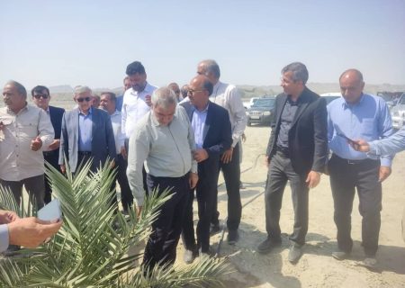 بازدید نمایندگان مجلس از بزرگترین نخلستان مجول جهان در «دشت پُلپُلک‌» بشاگرد هرمزگان