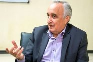 غنی‌نژاد: دستوری بودن بزرگترین مشکل اقتصاد ایران است