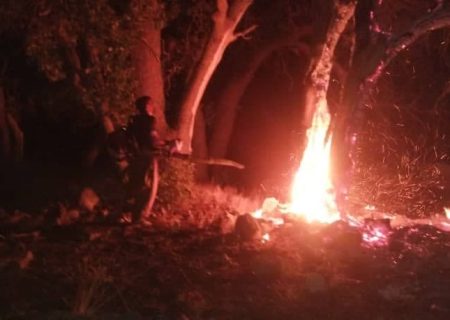 آتش‌سوزی در ارتفاعات منطقه حفاظت شده کوه” اشکر طسوج ” چرام کنترل شد