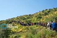همایش پیاده‌روی در کوه «گل سی سخت»