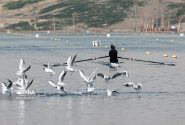 نوروزی طلایی شد؛ محمودپور نقره گرفت