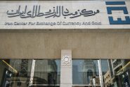 جزئیات «پیش‌فروش ارز» اعلام شد