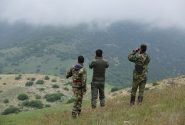 گچساران به ازای هر چهار هزار هکتار یک محیط‌بان دارد