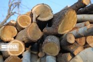 دستگیری قاچاقچی سابقه دار چوب جنگلی در گچساران
