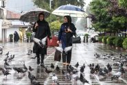 ماندگاری خنکای هوا تا چهارشنبه در تهران/ احتمال وقوع توفان تندری