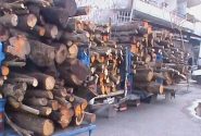 ۲ تن چوب درختان جنگلی قاچاق در گچساران کشف شد