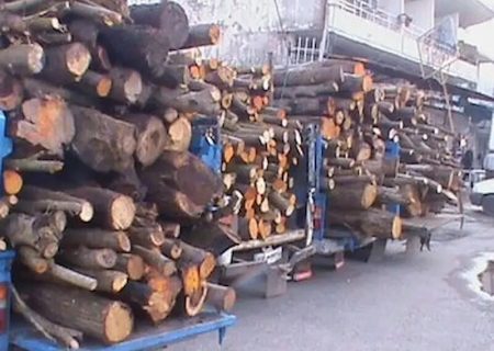 ۲ تن چوب درختان جنگلی قاچاق در گچساران کشف شد